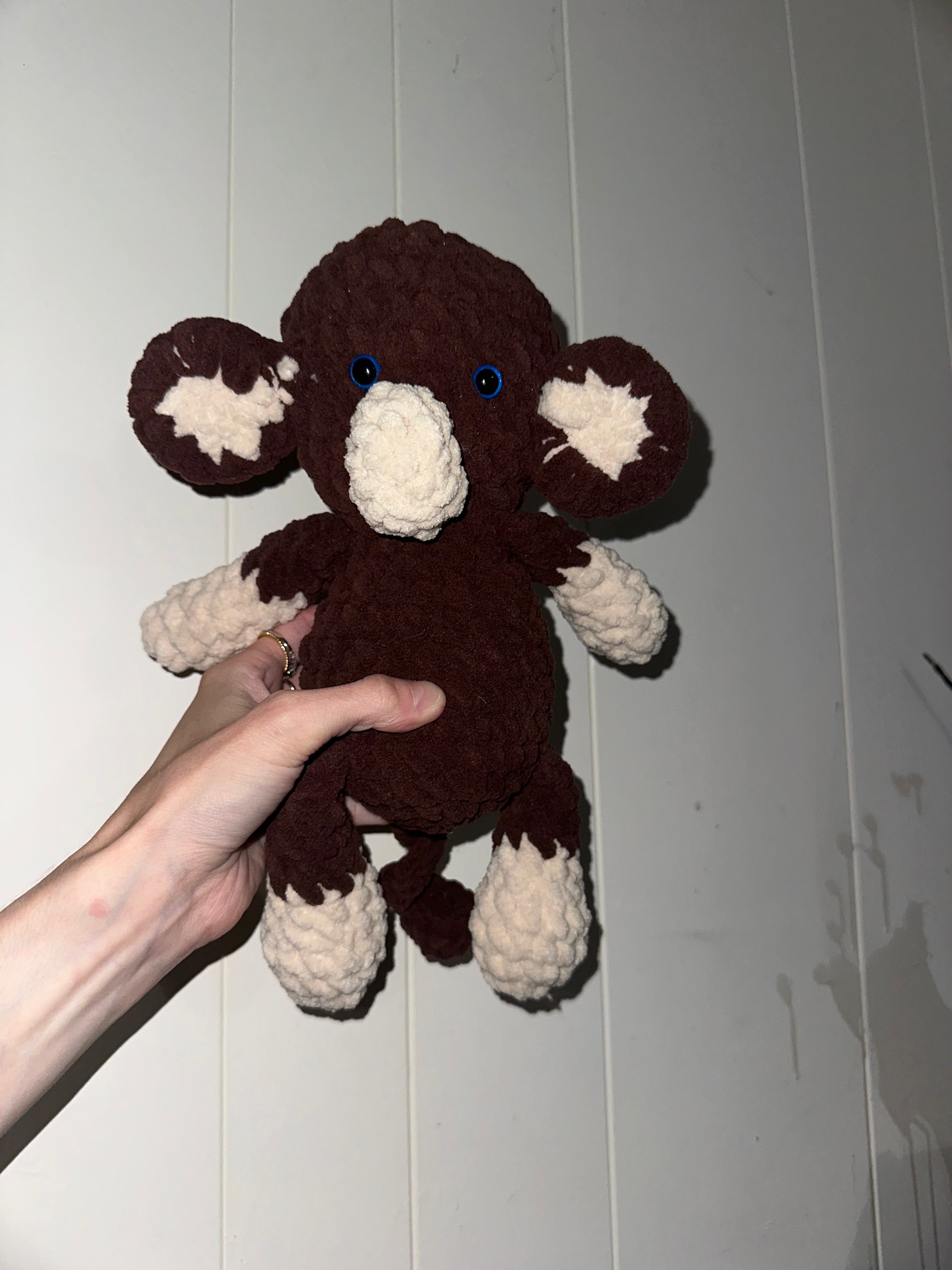 Pongo the Monkey