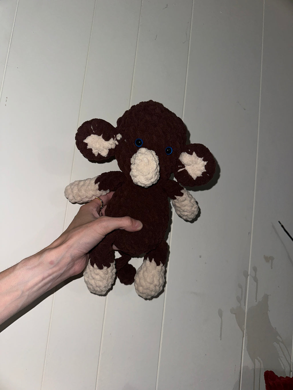 Pongo the Monkey